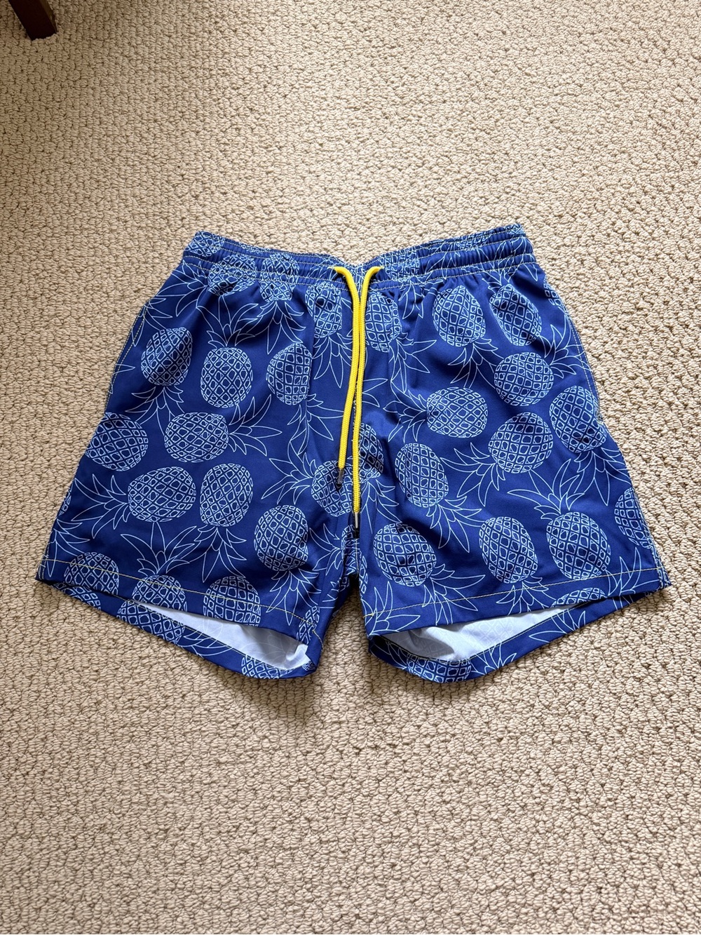 Capelle Men's Pineapple Print Swim Trunks in Navy with Yellow Drawstring